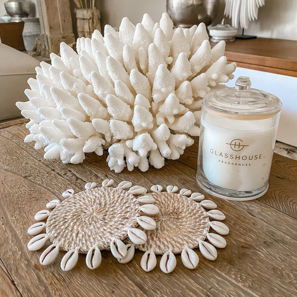 Authentic Coral Pieces - Finger Coral – Rustic White & Wood