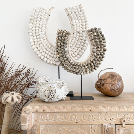 Authentic Shell Decor & Loose Shells