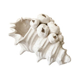 Barnacle Ceramic Shell Sculpture